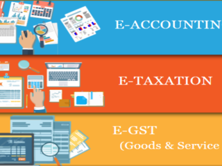 how-an-e-accounting-course-can-help-you-start-your-own-business-in-2025-100-job-accounting-certification-course-in-delhi-110069-by-sla
