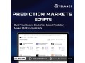 get-your-decentralized-prediction-markets-script-at-low-cost-small-0