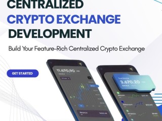 boost-your-startup-profits-with-advanced-cex-development-solutions