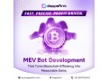 capture-consistent-defi-earnings-using-innovative-mev-bot-development-tools-small-0