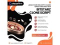 start-earning-faster-using-our-whitelabel-bitstarz-clone-software-small-0