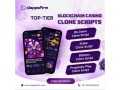 affordable-blockchain-casino-clone-script-with-free-consultation-support-small-0