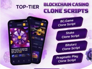 affordable-blockchain-casino-clone-script-with-free-consultation-support
