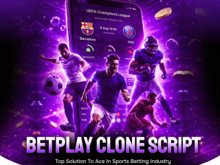 scalable-betplay-clone-software-with-secure-payments-free-consultation
