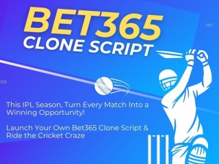 hire-developers-to-customize-your-sportsbook-using-bet365-clone-script