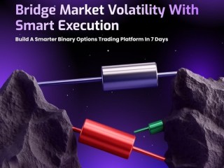 sports-betting-clone-script-vs-custom-sportsbook-development