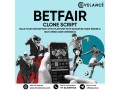 betfair-clone-script-vs-custom-sports-betting-exchange-development-small-0