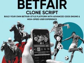 betfair-clone-script-vs-custom-sports-betting-exchange-development