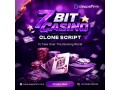 go-live-in-days-with-a-fully-scalable-white-label-7bit-casino-clone-script-small-0