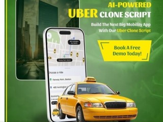 how-can-i-start-a-taxi-business-like-uber-with-ai