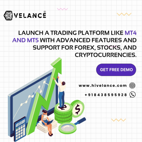 metatrader5-clone-script-create-a-pro-level-trading-platform-with-hivelance-big-0