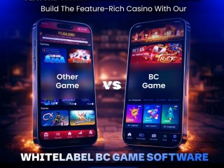 bc-game-clone-script-launch-a-powerful-crypto-casino-platform-in-2026
