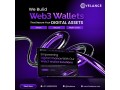 multi-chain-web3-wallet-development-services-for-startups-small-0